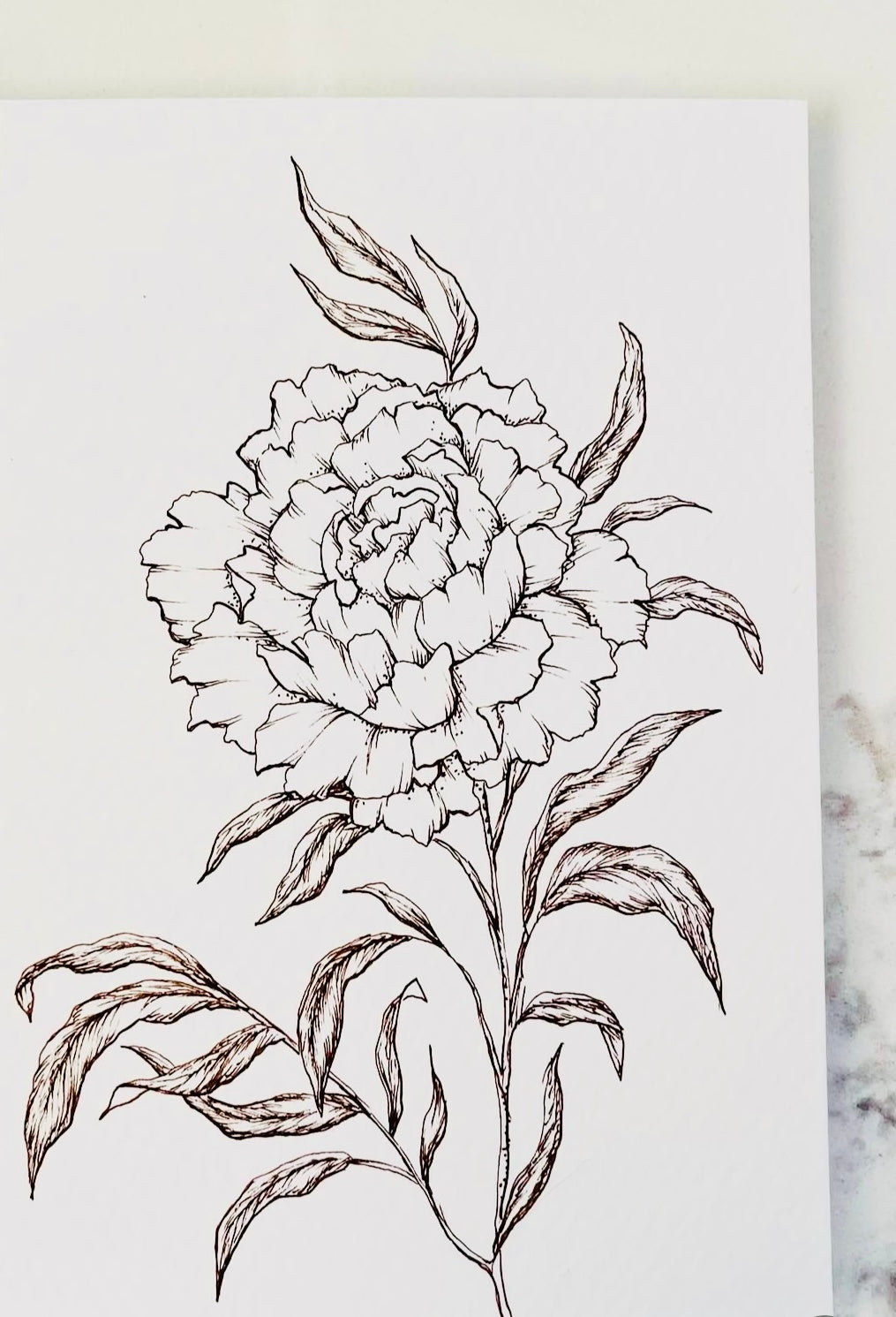 Original Floral Drawing New Blooming Flower Pen Sketch on A4 or A3 Cartridge 130 gsm Paper (NO FRAME) - Limited Edition