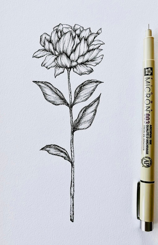 Original Floral Drawing New Blooming Flower Pen Sketch on A4 or A3 Cartridge 130 gsm Paper (NO FRAME) - Limited Edition