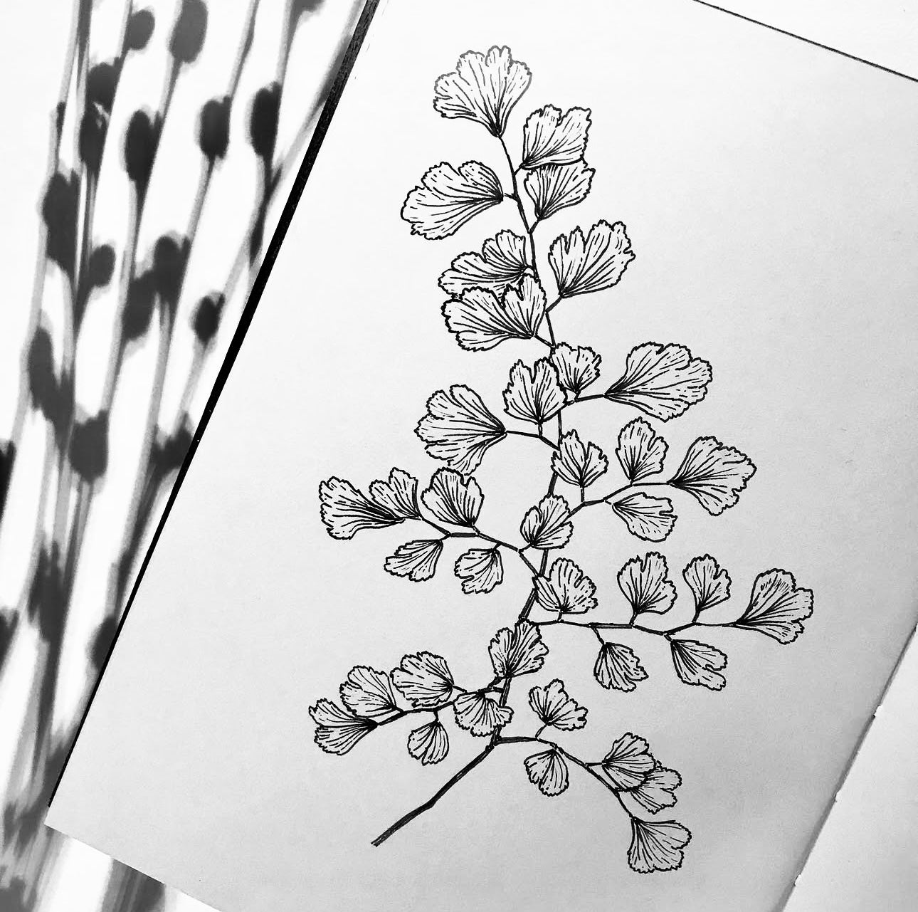 Original Floral Drawing New Blooming Flower Pen Sketch on A4 or A3 Cartridge 130 gsm Paper (NO FRAME) - Limited Edition