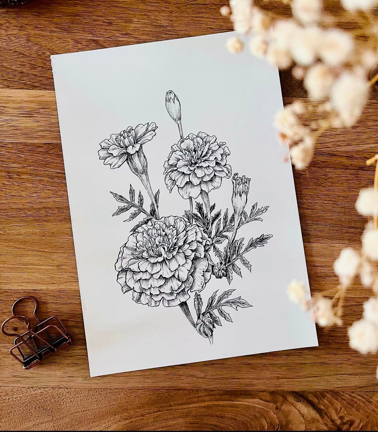 Original Floral Drawing New Blooming Flower Pen Sketch on A4 or A3 Cartridge 130 gsm Paper (NO FRAME) - Limited Edition