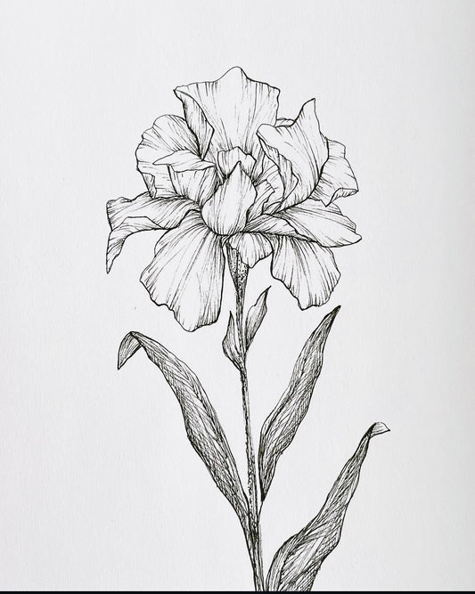 Original Floral Drawing New Blooming Flower Pen Sketch on A4 or A3 Cartridge 130 gsm Paper (NO FRAME) - Limited Edition