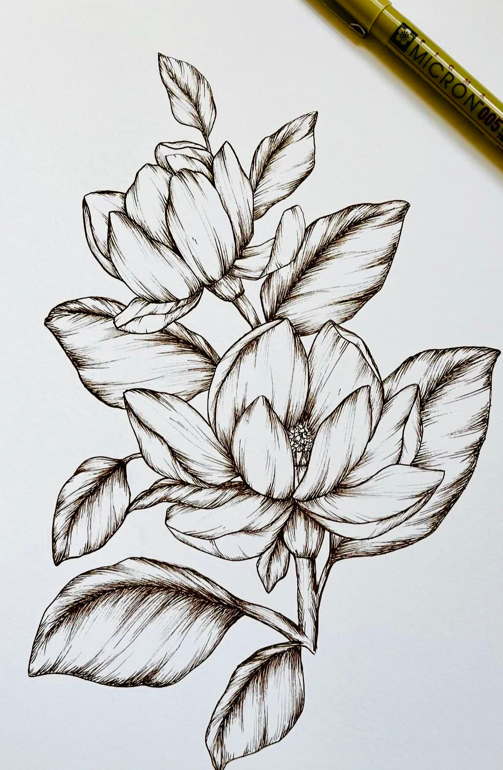 Original Floral Drawing New Blooming Flower Pen Sketch on A4 or A3 Cartridge 130 gsm Paper (NO FRAME) - Limited Edition