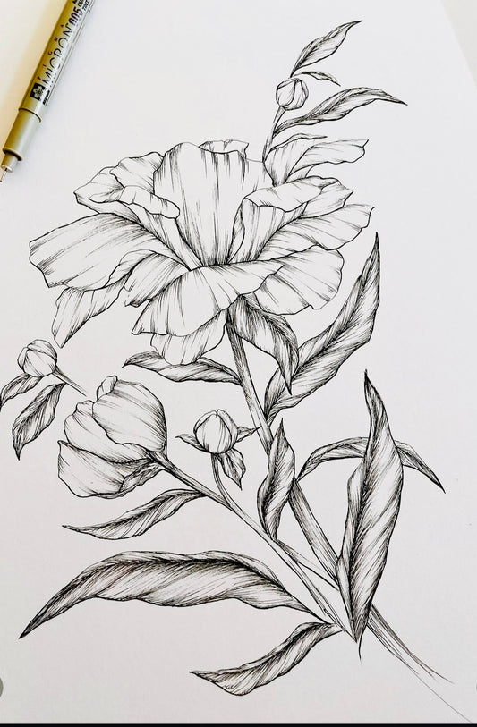 Original Floral Drawing New Blooming Flower Pen Sketch on A4 or A3 Cartridge 130 gsm Paper (NO FRAME) - Limited Edition