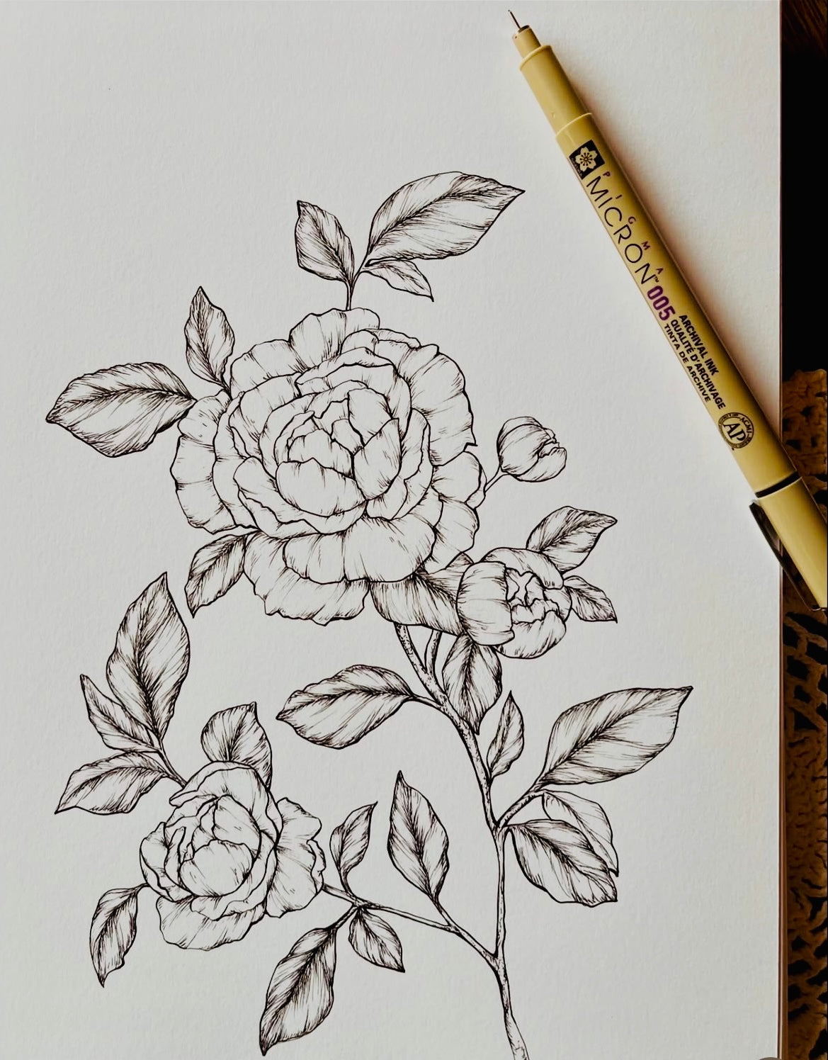 Original Floral Drawing New Blooming Flower Pen Sketch on A4 or A3 Cartridge 130 gsm Paper (NO FRAME) - Limited Edition