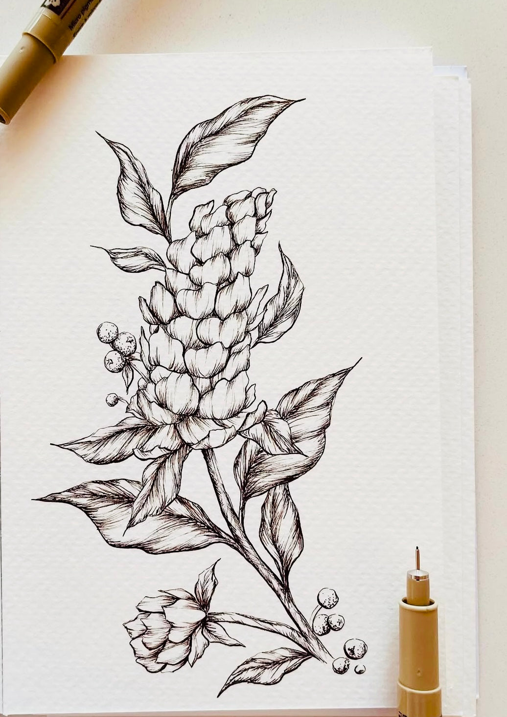 Original Floral Drawing New Blooming Flower Pen Sketch on A4 or A3 Cartridge 130 gsm Paper (NO FRAME) - Limited Edition