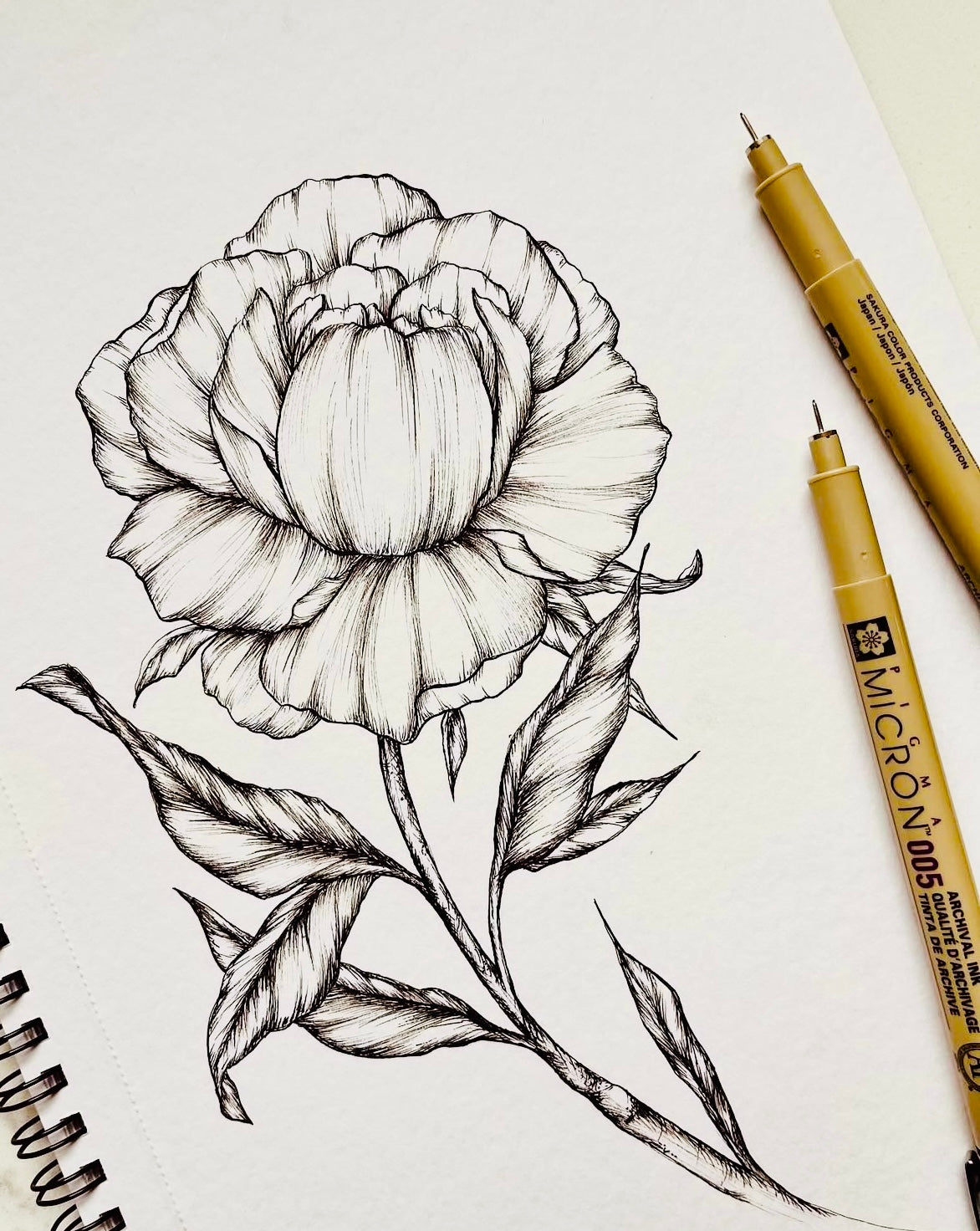 Original Floral Drawing New Blooming Flower Pen Sketch on A4 or A3 Cartridge 130 gsm Paper (NO FRAME) - Limited Edition