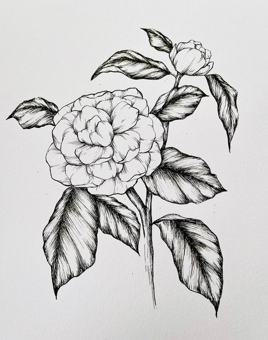 Original Floral Drawing New Blooming Flower Pen Sketch on A4 or A3 Cartridge 130 gsm Paper (NO FRAME) - Limited Edition