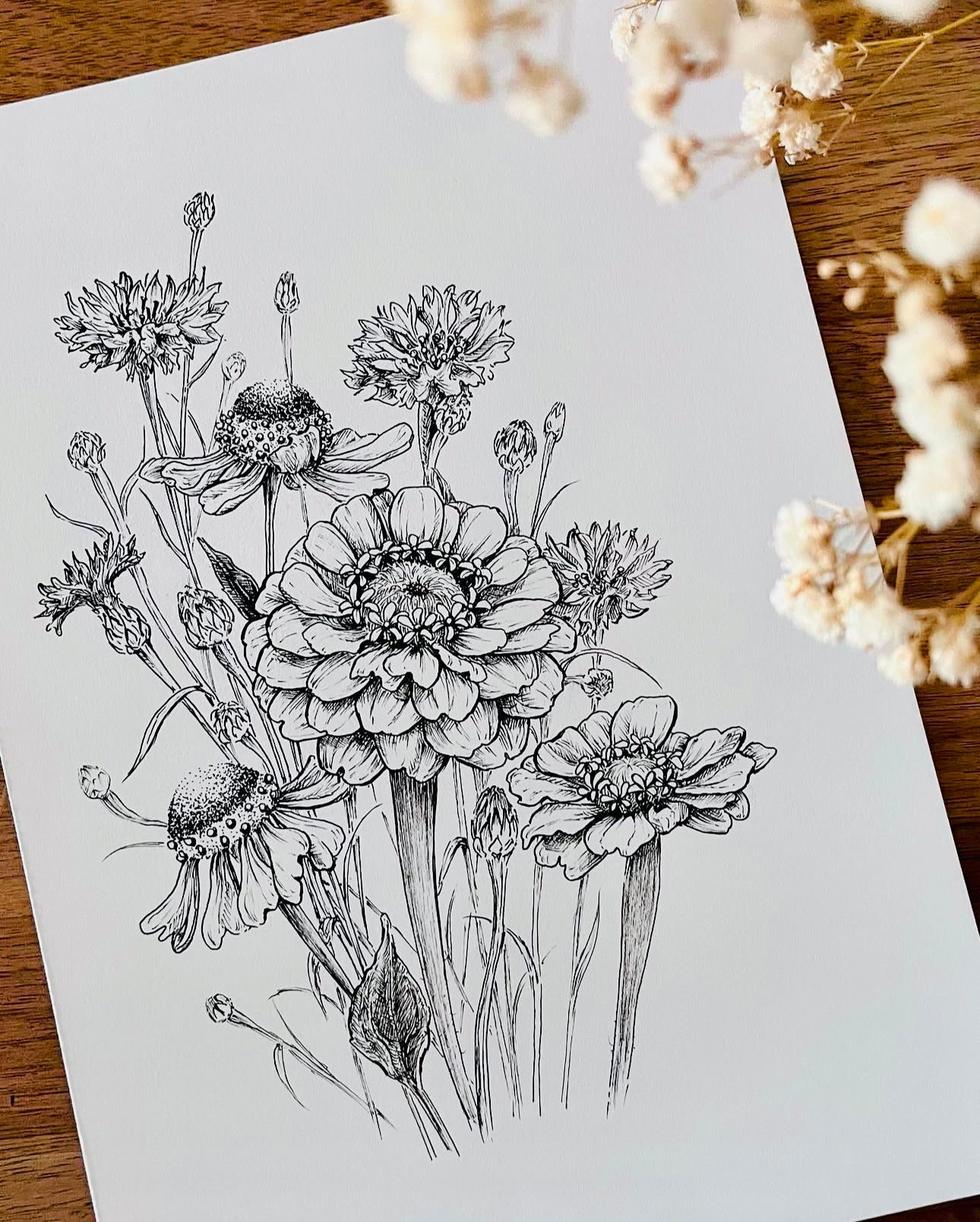 Original Floral Drawing New Blooming Flower Pen Sketch on A4 or A3 Cartridge 130 gsm Paper (NO FRAME) - Limited Edition